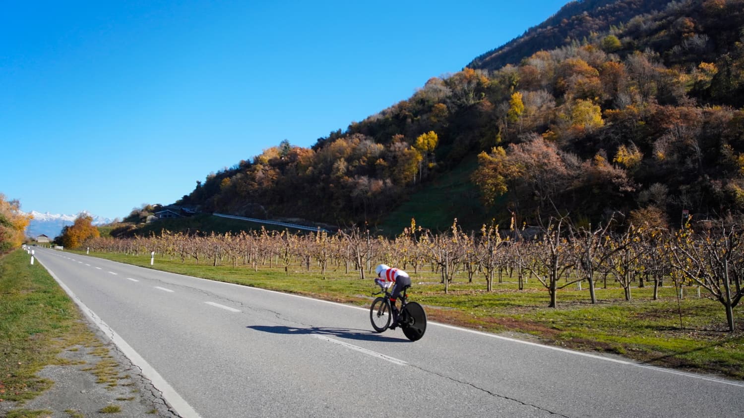 Rider Self-Testing Case Study: Anna Kiesenhofer